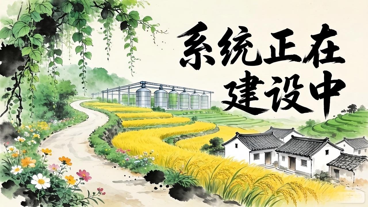系统建设中